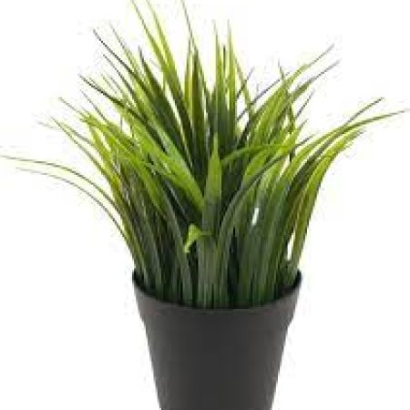 Artificial plant in plastic pot for Decoration