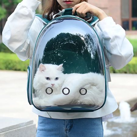 Portable Carry Pet Backpack