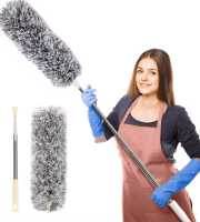 Duster Cleaner